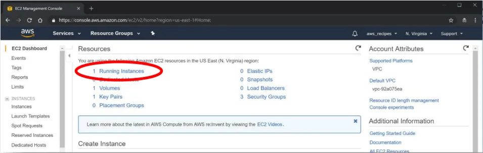 This image shows how to open the Instances Status Console 