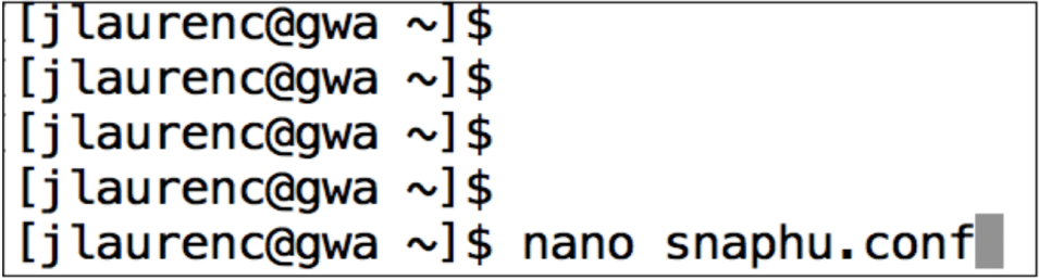 This image shows the display of the SNAPHU configuration file at the Linux command line.