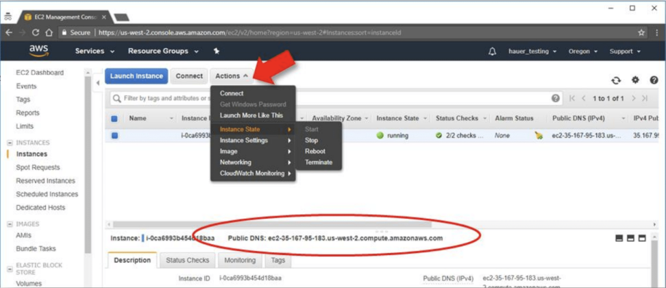 This image shows the Instance State navigation