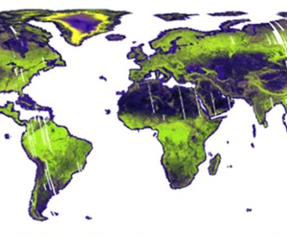 Mosaic created from SAR datasets