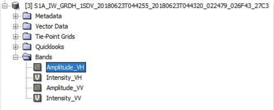 This image shows the Amplitude_VH band