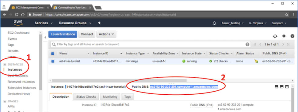 Screenshot with red circles showing AWS instances