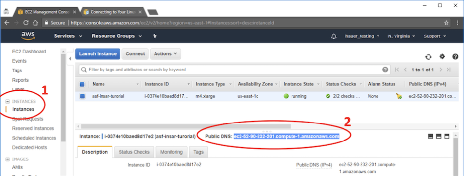 Screenshot with red circles showing AWS instances