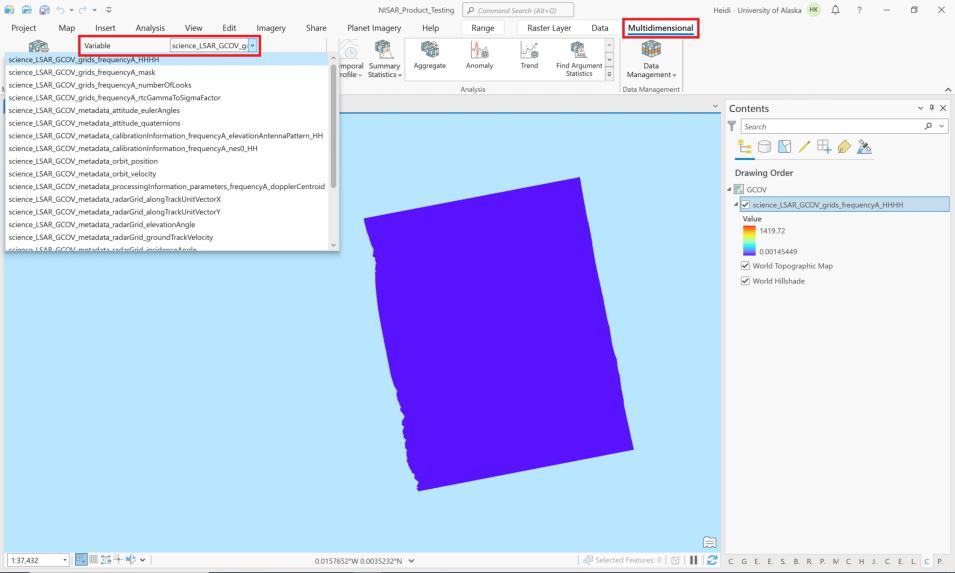 Screenshot of HDF5 variables in ArcGis