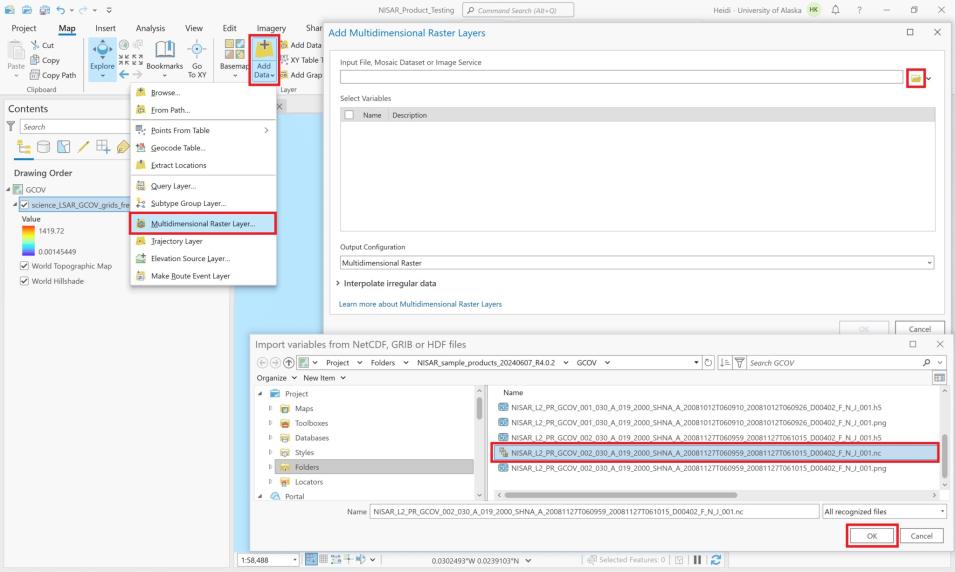 Screenshot of ArcGIS with multidimensional raster 