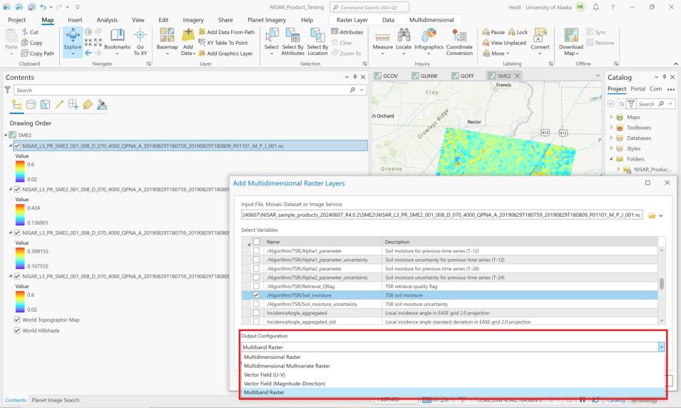 Screenshot of ArcGIS Multiband Raster configuration