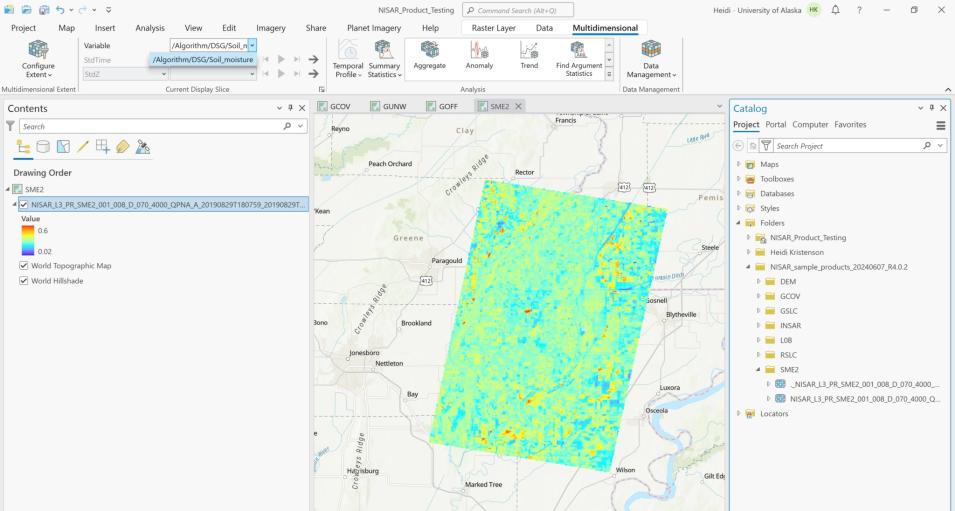 Screenshot of ArcGIS SME2 multidimensional