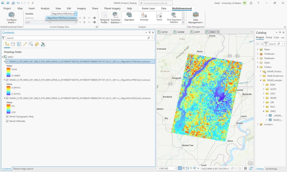 Screenshot of ArcGIS SME2 Multidimensional Multivariate configuration option