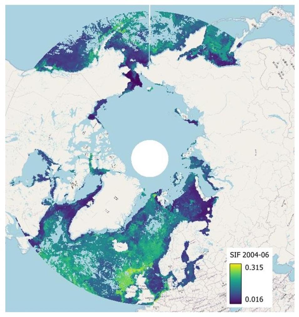 This visualization shows the monthly average of Solar-Induced Chlorophyll Fluorescence (SIF) Estimates from TROPOMI instrument over the Arctic Ocean for 2004 to 2006. The brighter colors indicate areas of greater net primary production in the Arctic Ocean. Credit: ORNL DAAC