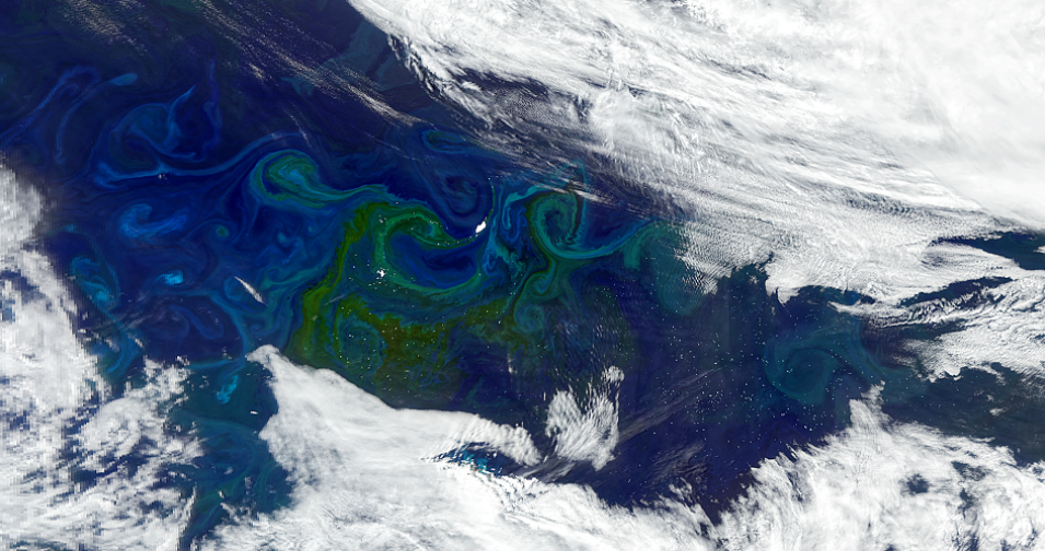 Icebergs circulate in the South Atlantic Ocean currents near the island of South Georgia. Around them, phytoplankton is blooming, creating large green-tinted swirls in this NASA Plankton, Aerosol, Cloud, ocean Ecosystem (PACE) Ocean Color Instrument (OCI) acquired on January 5, 2025. 
