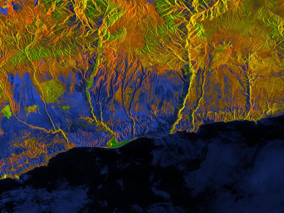 image generated in Vertex with Sentinel-1 SAR over Brazil