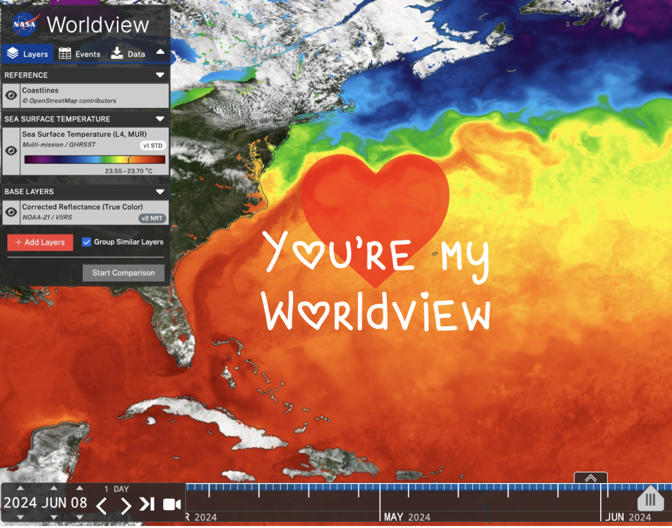 A screenshot of the Worldview application is overlaid with the text "You're my Worldview"