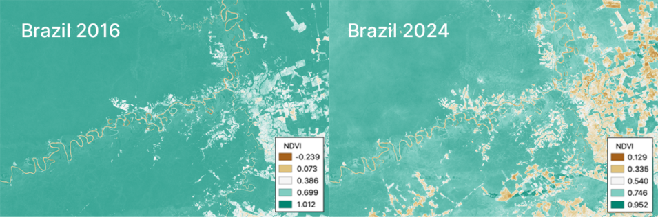 Two side-by-side Normalized Difference Vegetation Index (NDVI) images from the HLS project show the degree of land use change in a region of Western Brazil between 2016 and 2024. Green areas indicate healthy vegetation, while tan and brown images show areas of exposed soil or barren ground.