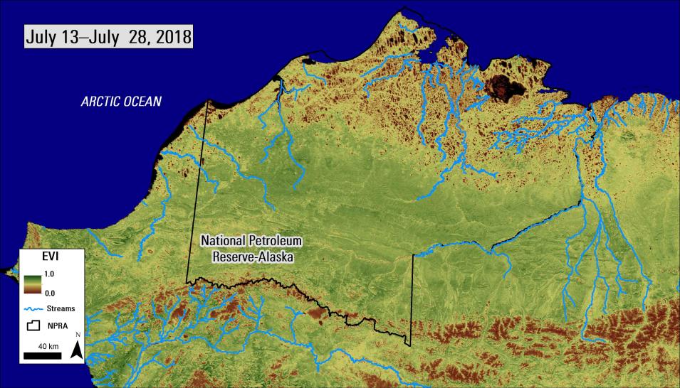 Satellite imagery showing an Enhanced Vegetation Index 8-day composite