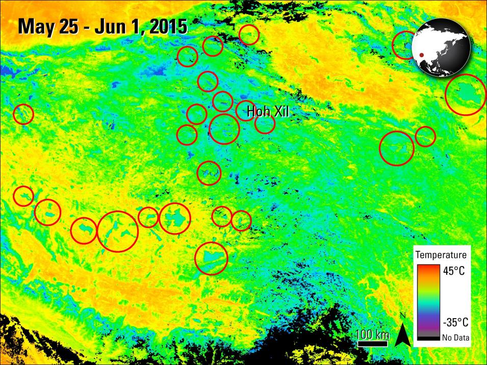 This image is made up of a mostly green background with areas and streaks of yellow and orange scattered around. Places where lakes are located are marked with red circles. In the upper left corner it reads May 25 - June 1, 2015. In the upper right corner is a small small map of the world and a red dot marking the area the scan covers. 