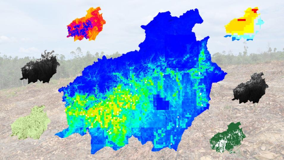 This image shows seven maps of Uruguay overlayed across a photograph of a deforested area. A large map of Uruguay is in the center and colored blue, yellow and green. The six other maps are arranged in a circle around the largest map.   