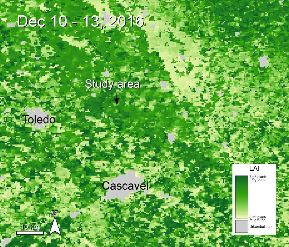 Combined Terra and Aqua MODIS imagery over Brazil.