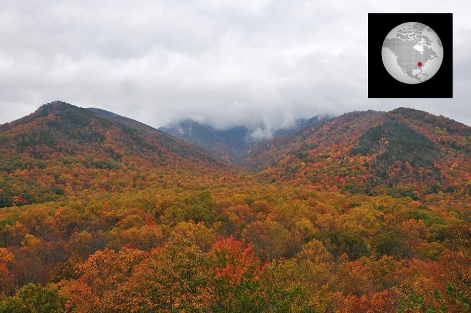 October 31, 2014 photo of Fall foliage taken from the Carlos Campbell Overlook on Newfound Gap Road.