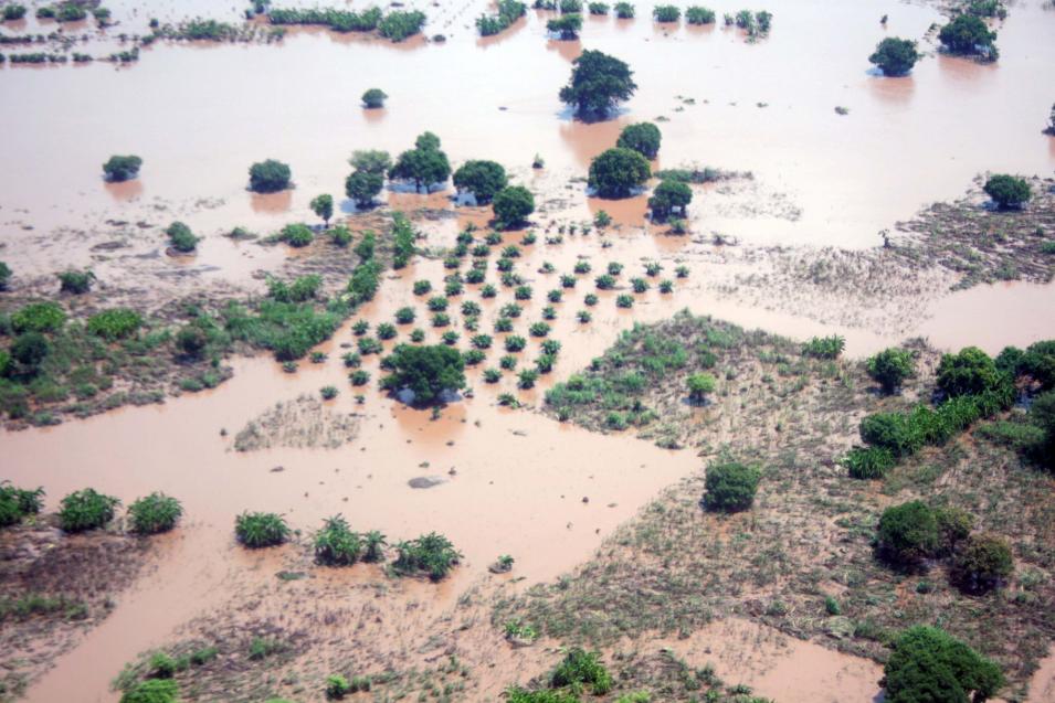 Cropland submerged by floodwaters on the Lower Shire in southern Malawi. 