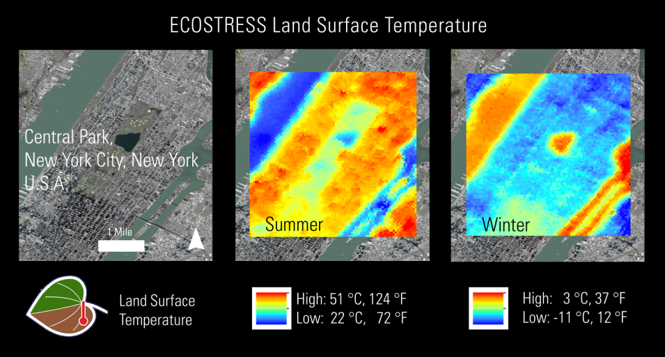 Example of temperature differences recorded by ECOSTRESS within seasons, showing Central Park in New York City during summer (August 2018) and winter (January 2021), highlighting the temperature contrast between the park's vegetation, surrounding urban areas, and the central lake.