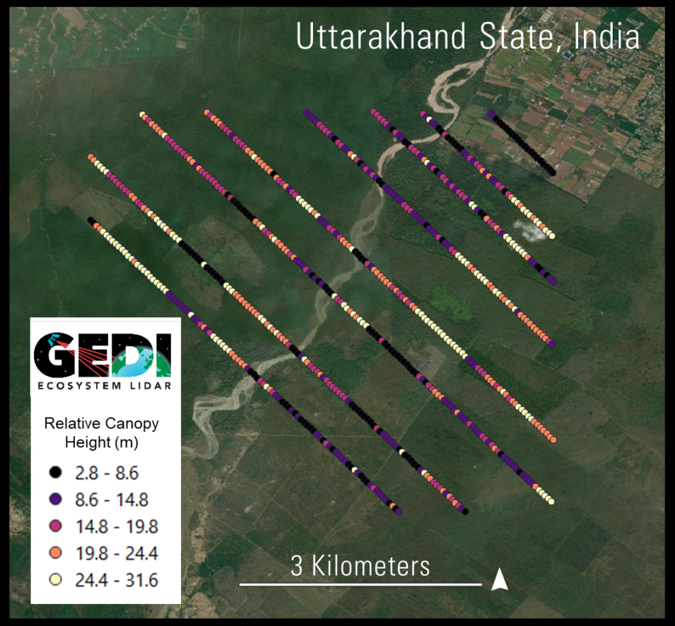 GEDI tracks over Uttarakhand State, India displaying tree canopy height measurements in meters, with color gradients representing varying forest heights across the study area.