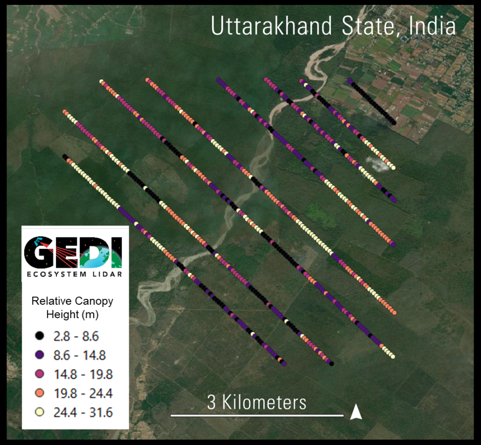 GEDI tracks over Uttarakhand State, India displaying tree canopy height measurements in meters, with color gradients representing varying forest heights across the study area.