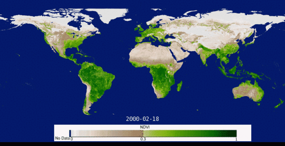 16-day MODIS Terra Vegetation Index data from February 2, 2000, through December 19, 2013.