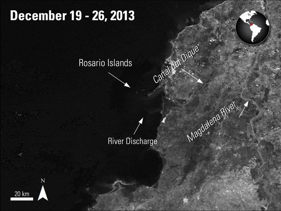 MODIS 8-day surface reflectance Band 1 image showing sediment plume from Magdalena River flowing near Rosario Islands