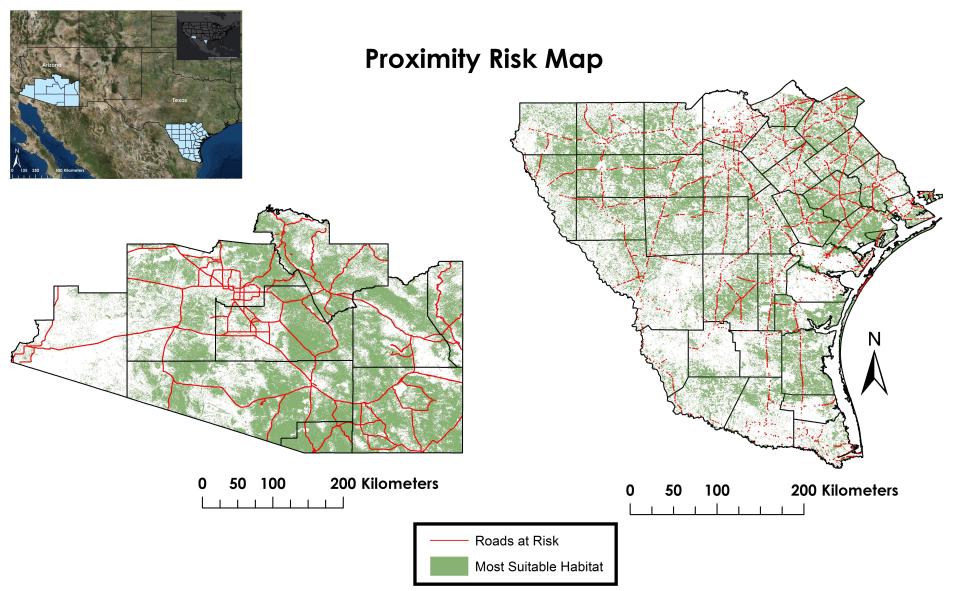 Comparison of ocelot habitat proximity risk maps from 2014 showing areas of potential ocelot-human interface in Southern Arizona (left) and Southern Texas (right). Higher risk areas are indicated [color/intensity description]. 