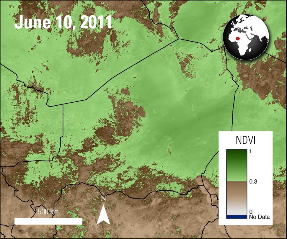 MODIS Terra MODIS NDVI calculated from Surface Reflectance data over part of Africa, acquired June 10, 2011.
