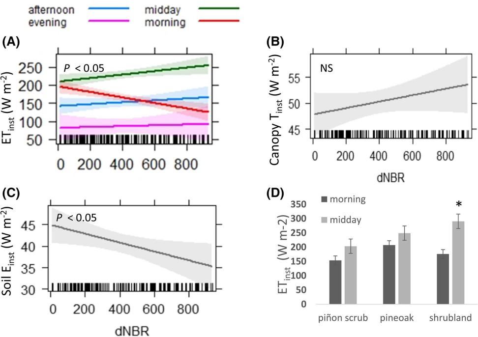 Four effect plots in a grid demonstrate diurnal variation in instantaneous evapotranspiration; morning canopy transpiration; morning soil evaporation (Einst); and mean ET­inst‑for morning and midday by vegetation type.