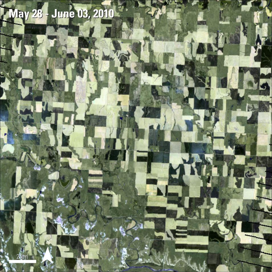 WELD data product of agriculture in Collyer, Kansas