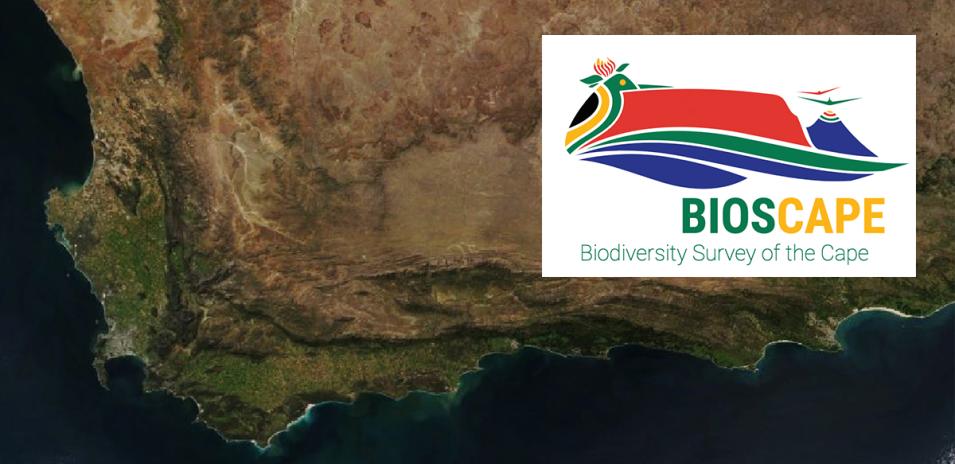 Biodiversity Survey of the Cape (BioSCape) graphic identifier.