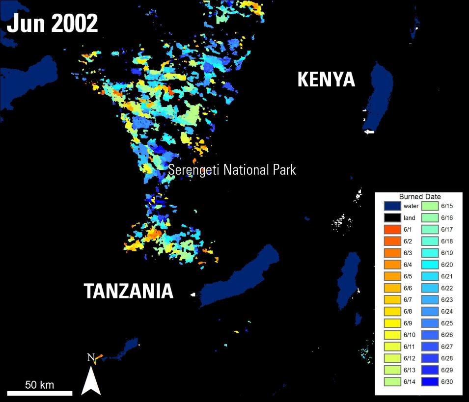 This color-coded image shows land in black, water in blue, and burned areas filled in with various colors based on their burn date. The dates range from 6/14-6/30, 2002. Each date is assigned its own color starting with 6/14 being limegreen and ending with 6/30 as cobalt blue. In the center of the image is the text Serengeti National Park. In the upper right-hand corner is the text Kenya. In the lower left-hand corner is the text Tanzania. In the upper left-hand corner is the text Jun 2002. 