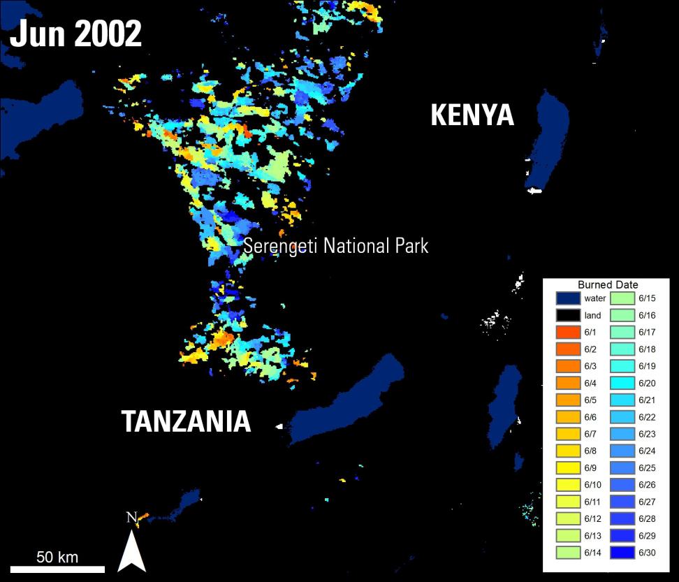 This color-coded image shows land in black, water in blue, and burned areas filled in with various colors based on their burn date. The dates range from 6/14-6/30, 2002. Each date is assigned its own color starting with 6/14 being limegreen and ending with 6/30 as cobalt blue. In the center of the image is the text Serengeti National Park. In the upper right-hand corner is the text Kenya. In the lower left-hand corner is the text Tanzania. In the upper left-hand corner is the text Jun 2002. 