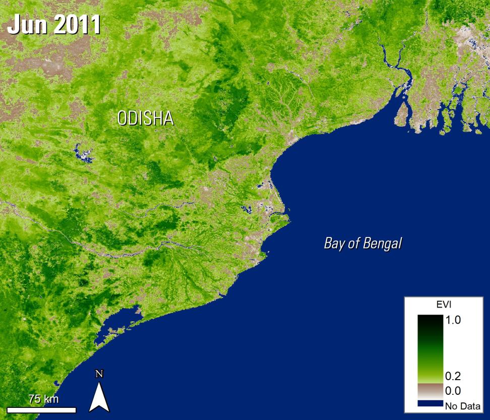 This is a color visualization of the Bay of Bengal coastline in India. Water is colored blue. The coastline is colored in shades from white to tan, light green to dark green to show low to high vegetation levels. Over the bay is the text Bay of Bengal. Near the middle of the page is the text Odisha. In the upper left-hand corner is the text Jun 2011. In the lower right-hand corner is a color scale showing enhanced vegetation index levels ranging from white=0.0 to dark green=1.0.
