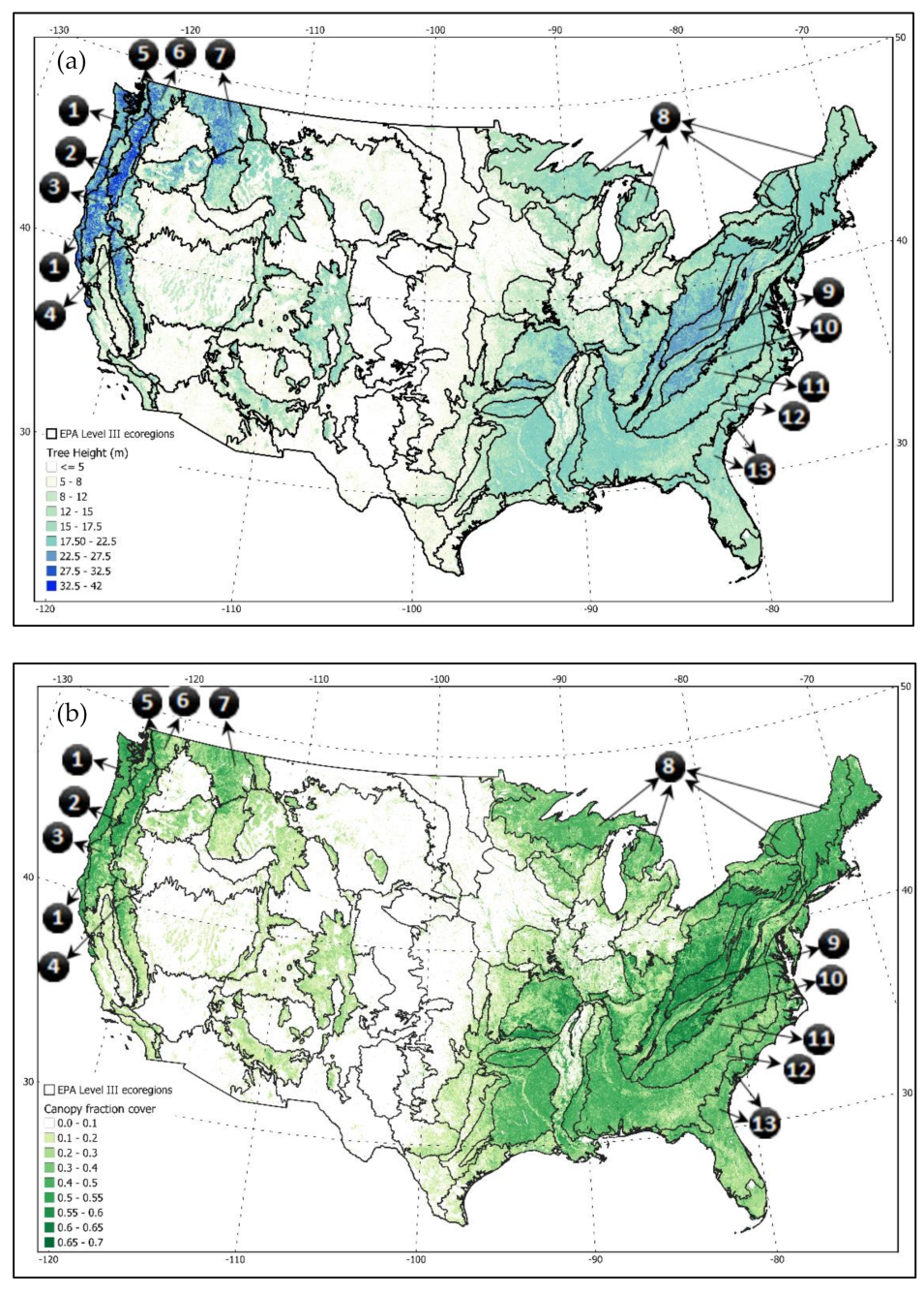 2019 US maps showing canopy height (top) and canopy fraction cover (bottom) with labeled ecoregions including Cascades, Appalachians, and Coastal Plains.