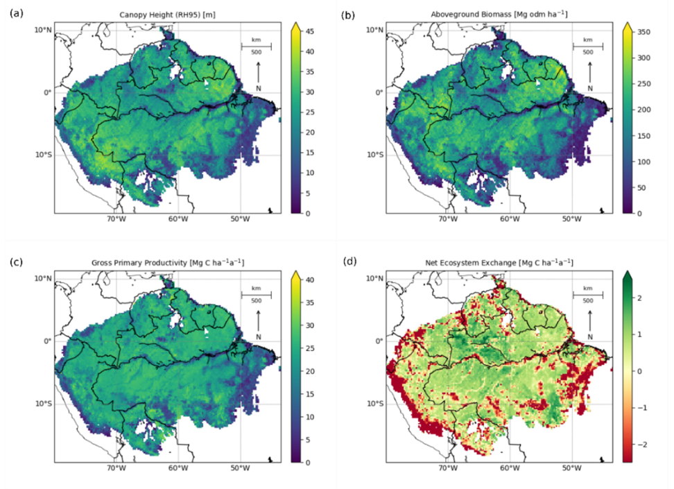(a) Mean canopy height (RH95) in meters, (b) Mean aboveground biomass (AGB) in Mg odm per hectare, (c) Mean gross primary productivity (GPP) in Mg C per hectare per year, and (d) Net ecosystem exchange (NEE) in Mg C per hectare per year. Data aggregated from 1 km² to 20 × 20 km² resolution for visualization purposes.