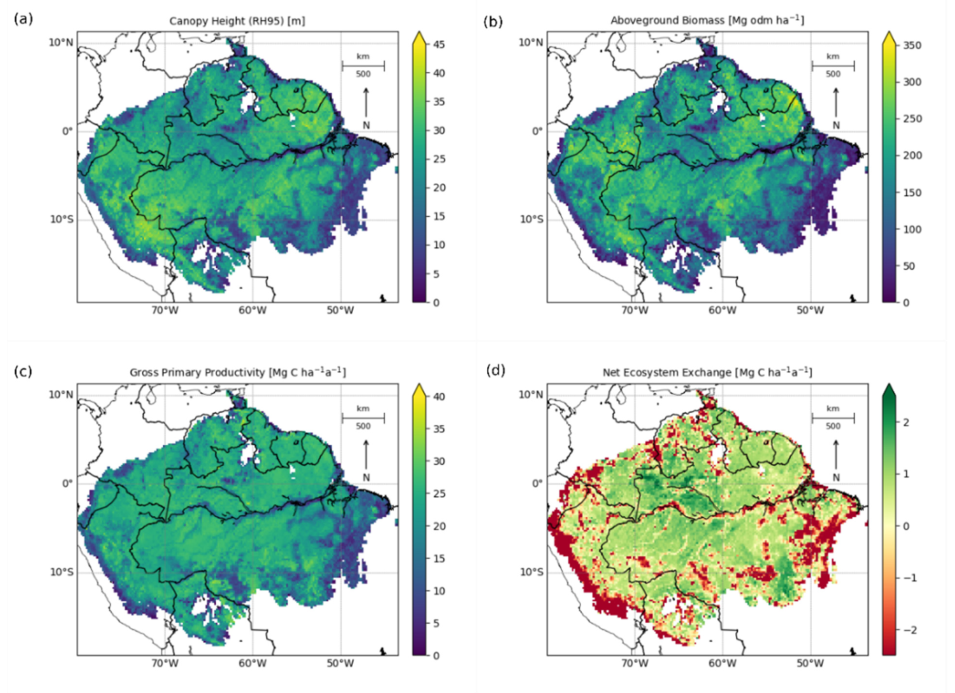 (a) Mean canopy height (RH95) in meters, (b) Mean aboveground biomass (AGB) in Mg odm per hectare, (c) Mean gross primary productivity (GPP) in Mg C per hectare per year, and (d) Net ecosystem exchange (NEE) in Mg C per hectare per year. Data aggregated from 1 km² to 20 × 20 km² resolution for visualization purposes.