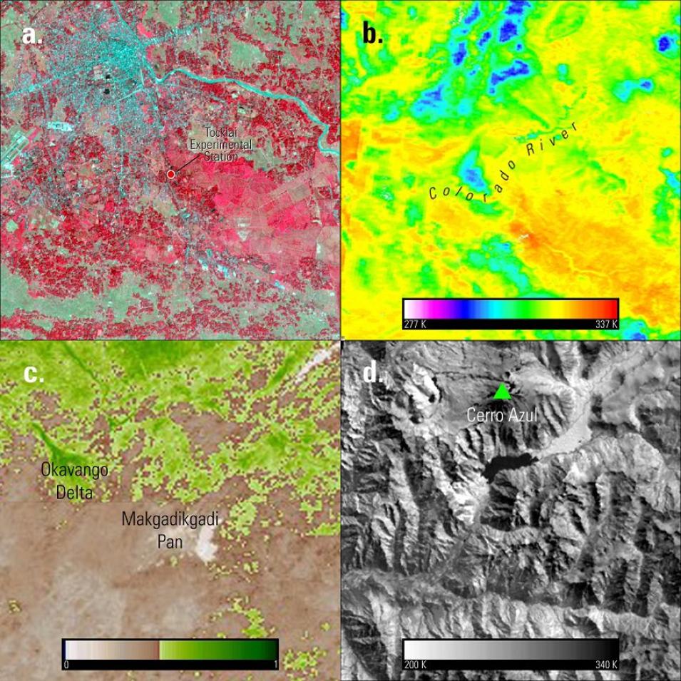 Four panels showing various data points from articles in Sensing Our Planet 2014.