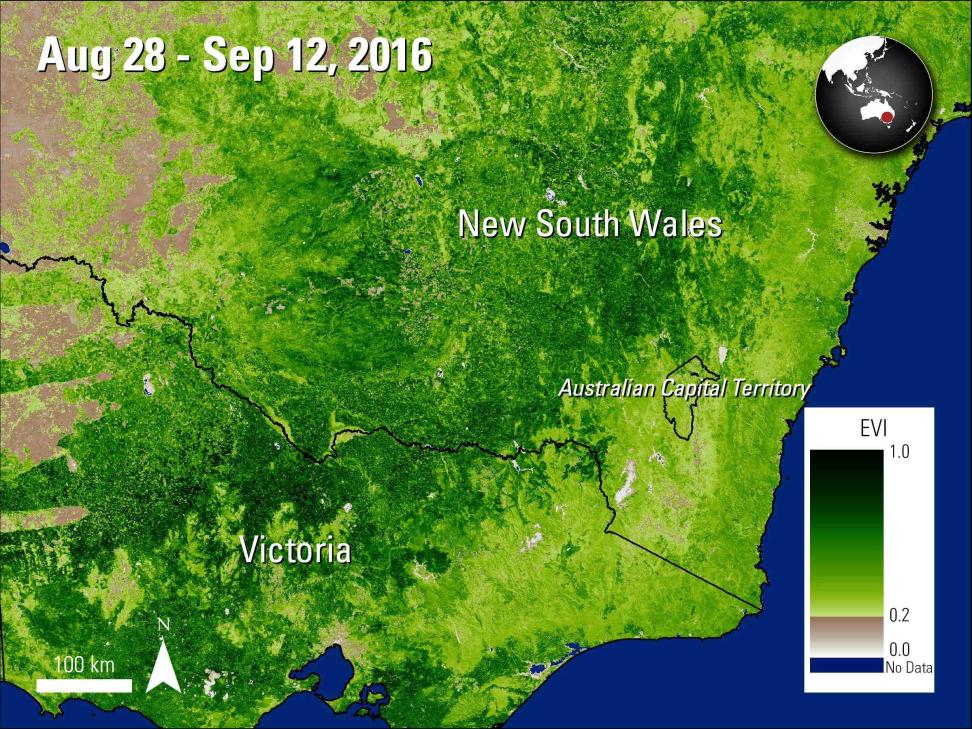 Terra MODIS EVI data over New South Wales and Victoria, Australia, acquired between August 28 and September 12, 2016.