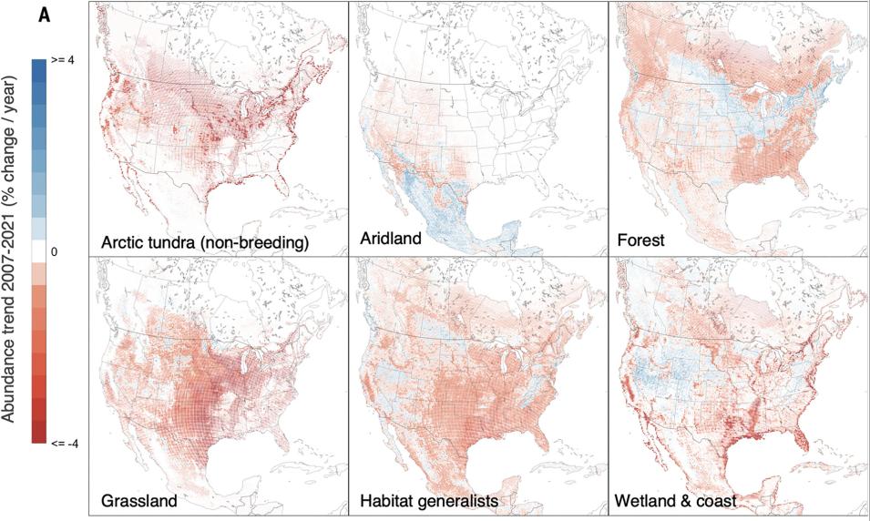 This series of maps shows changes in avian abundance in different habitats in parts of the United States and Canada between 2007 and 2021. Red areas indicate decreases in abundance, whereas blue areas indicate increases.