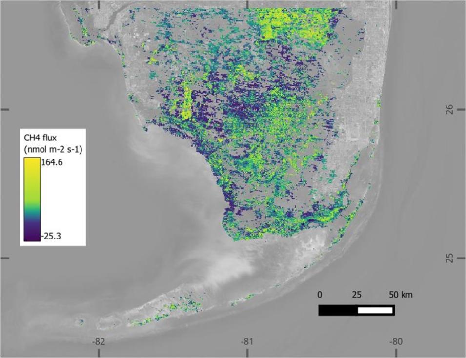 A graphic showing estimates of methane flux (nmol m-2 s-1) from wetlands in southern Florida, on June 29, 2000. 