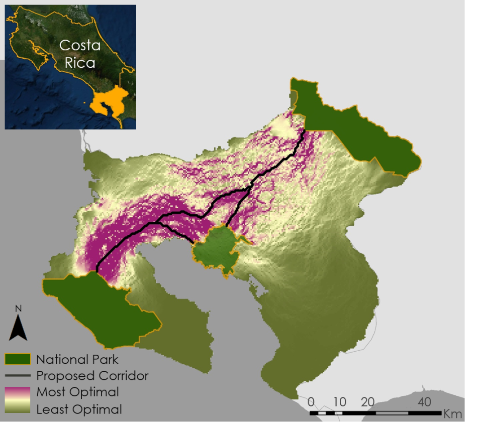 Map of jaguar corridor.