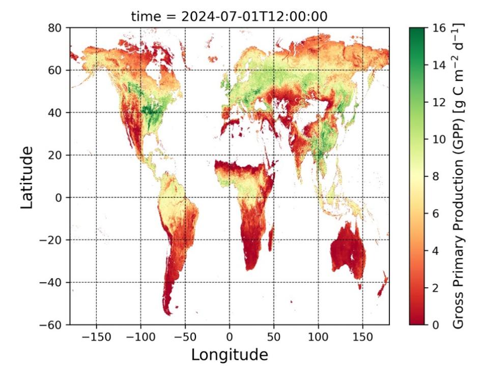 Data from the FluxSat Gross Primary Product (GPP) version 2.2 dataset shows Gross Primary Productivity across the world in July 2024.   