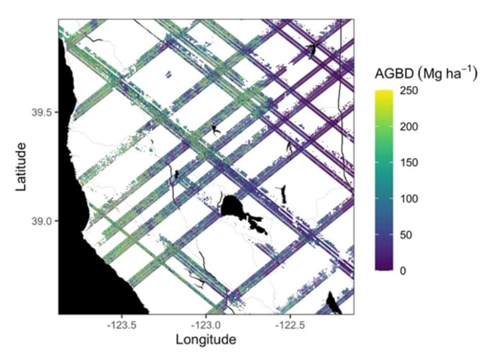 An example subset of aboveground biomass density (AGBD; Mg ha-1) predictions from the GEDI Level-4A footprint product over Northern California  spanning April to July 2019.