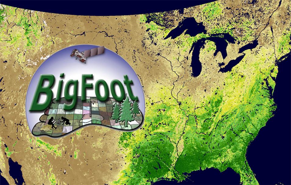 MODIS leaf area index data over the United States with Bigfoot Logo