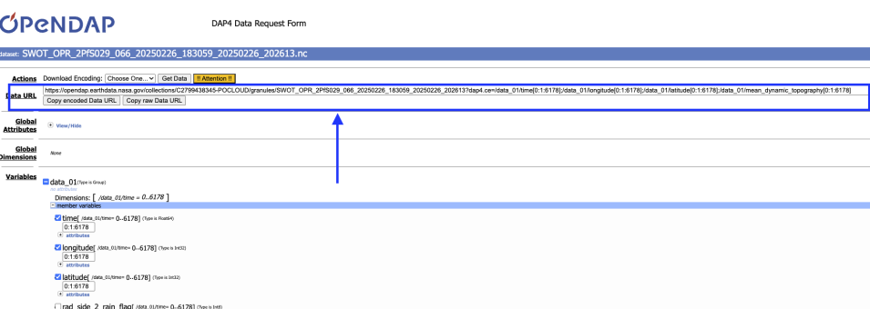 A screenshot of DAP4 Data Request Form displaying a Data URL. A blue arrow points to this URL, which is shown to contain additional information, specifically the names of the variables that have been selected for retention, building upon the original OPeNDAP URL.