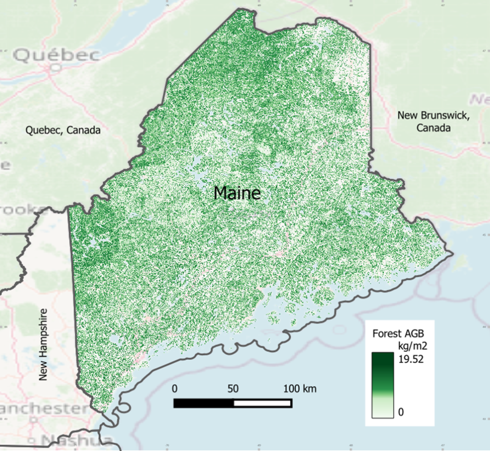A map of aboveground forest biomass in Maine in 2023.