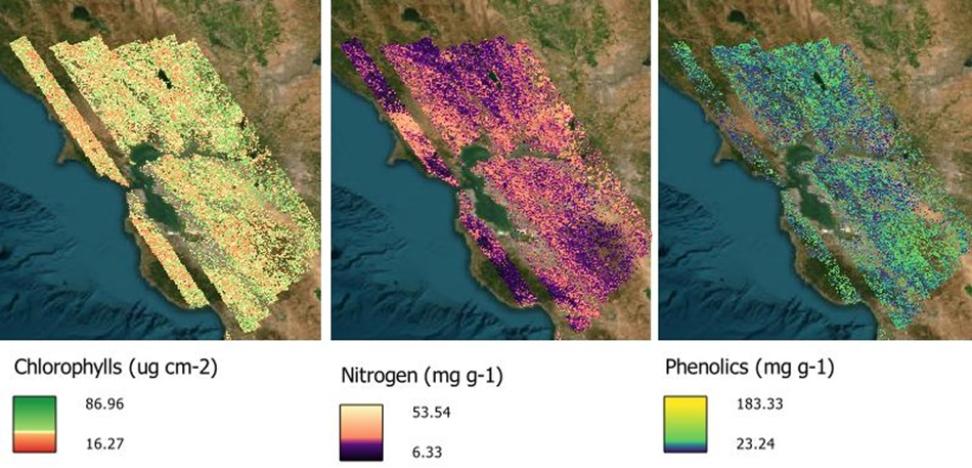 These images show foliar concentrations of chlorophyll, nitrogen, and phenolics in the bay area around San Francisco, California, on April 10 2013. 